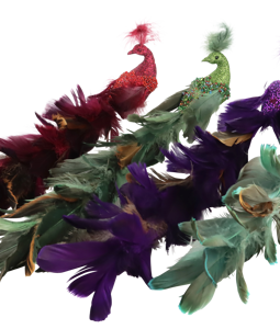 1696 ZIERKLAMMERN PEACOCK S/4
